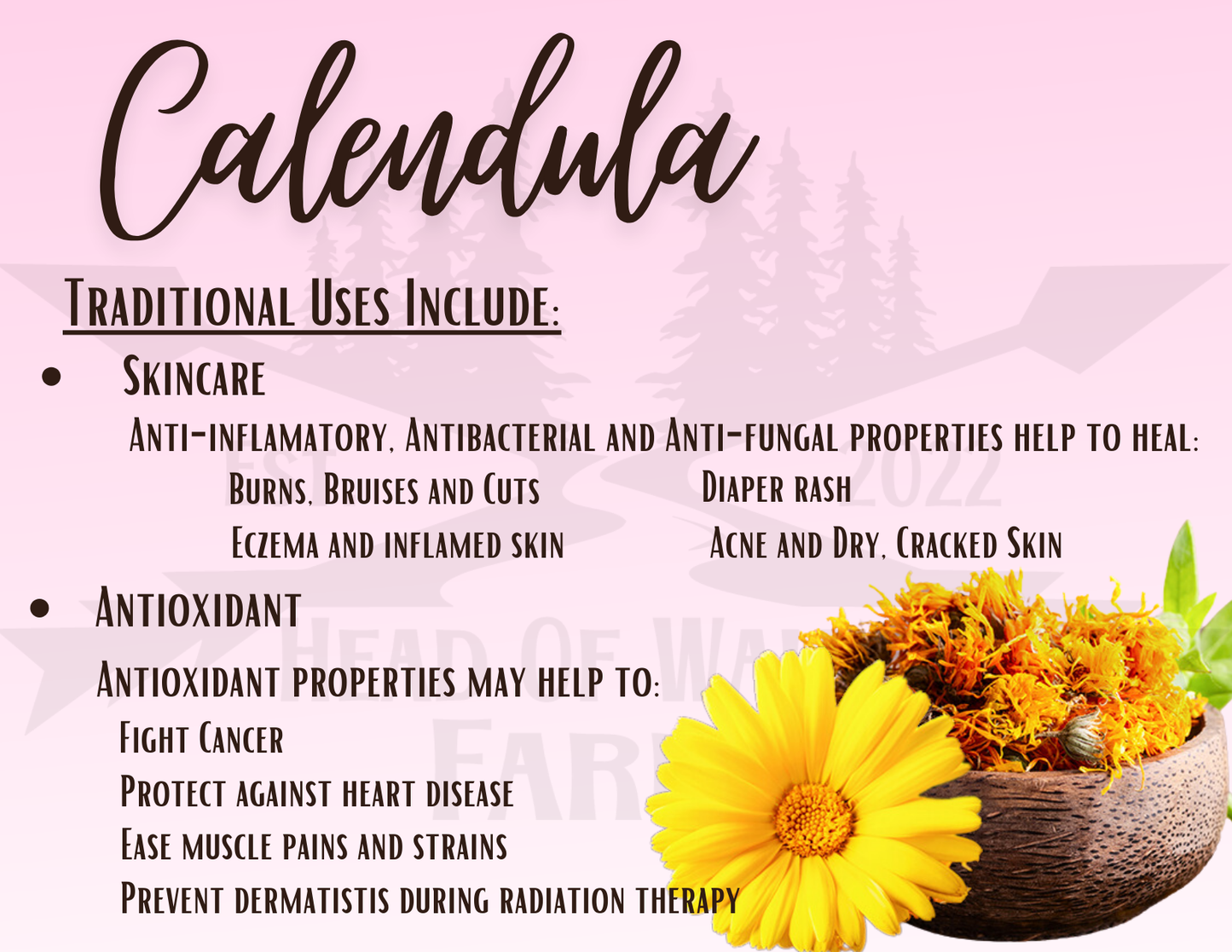 Calendula Herb - Head Of Walker Farm LLC