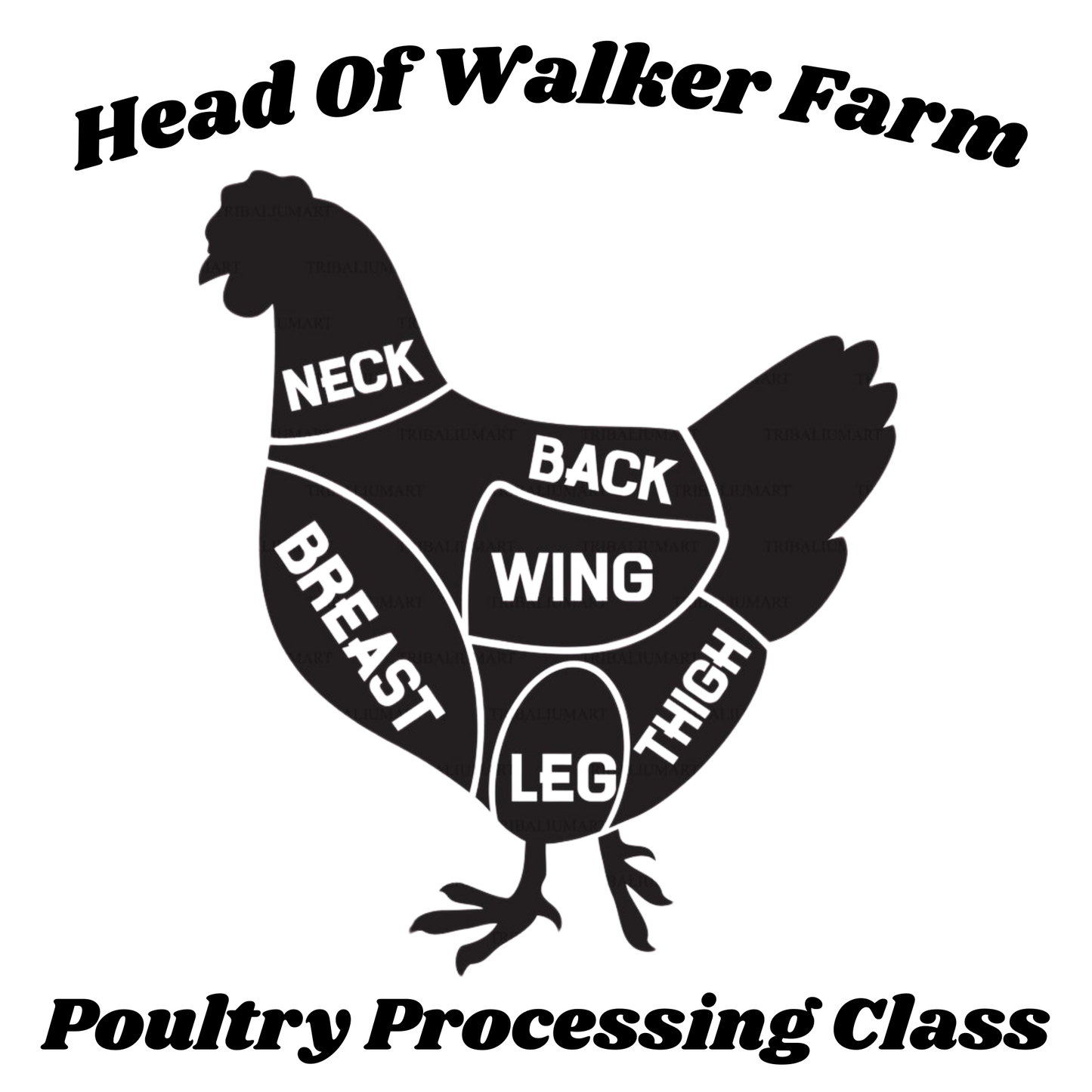 Chicken Processing Class