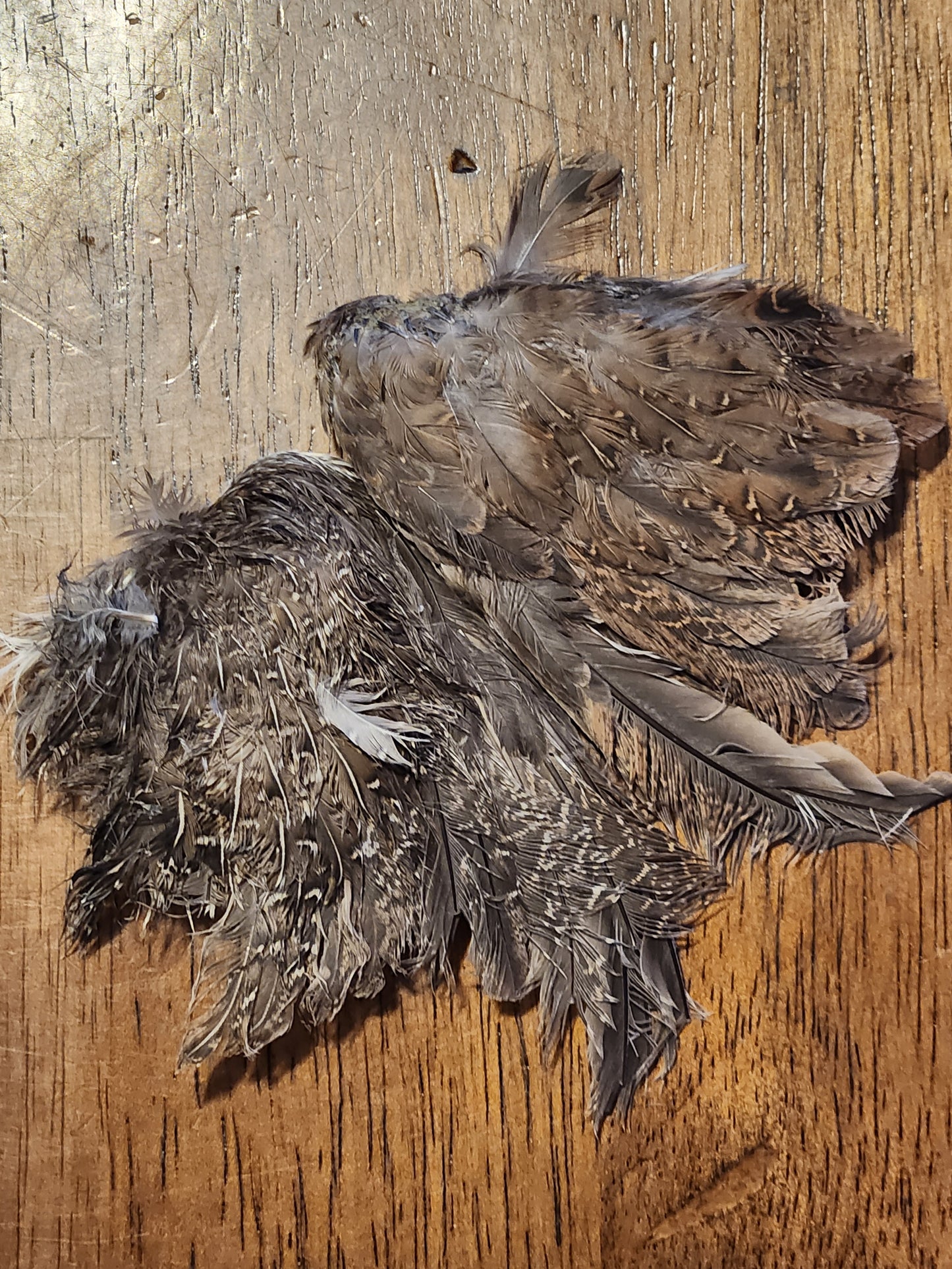 Dehydrated Quail Wings