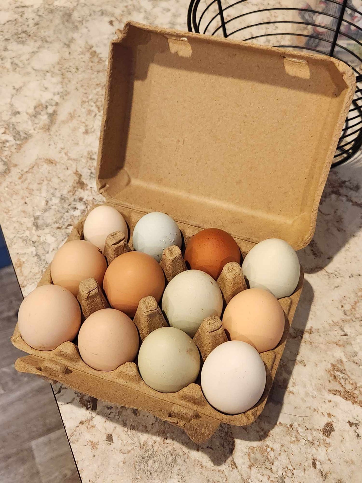 Chicken Eggs, Fresh