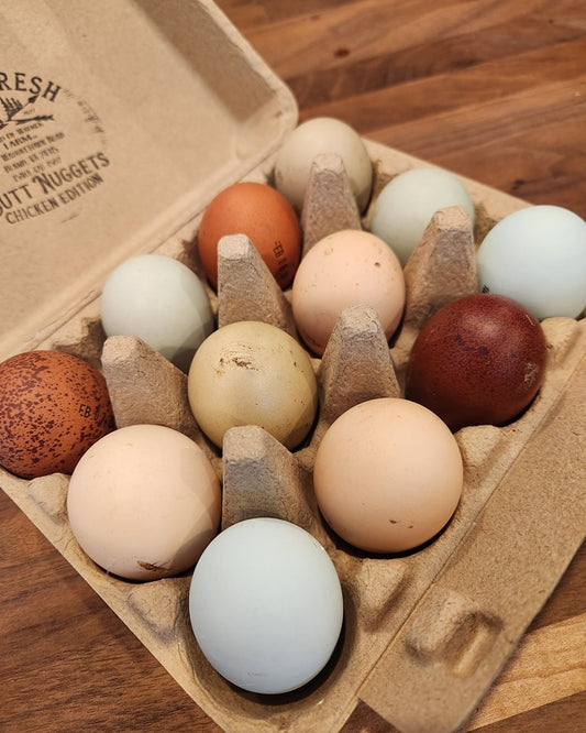 Chicken Eggs, Hatching