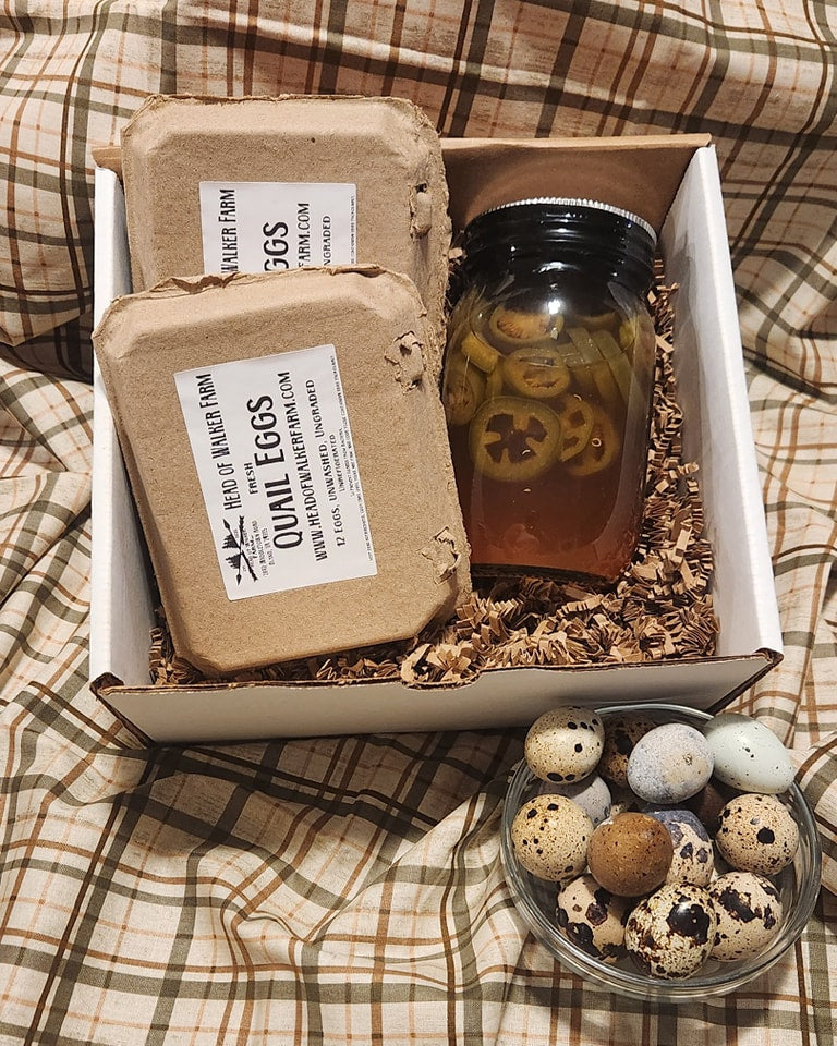 Picked Quail Egg Kit