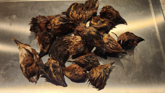 Dehydrated Quail Heads