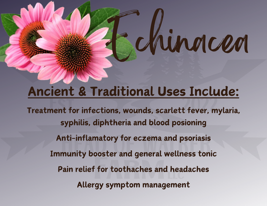 Echinacea Herb - Head Of Walker Farm LLC