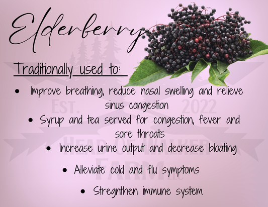 Elderberry Herb - Head Of Walker Farm LLC