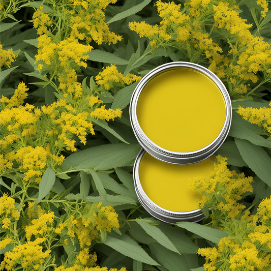 Goldenrod Salve - Head Of Walker Farm LLC