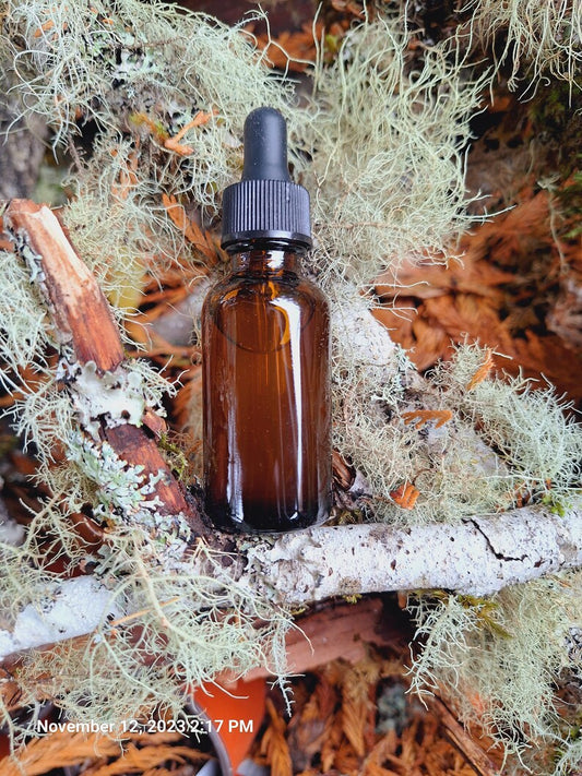 Usnea Tincture - Head Of Walker Farm LLC