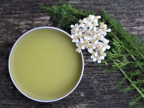 Yarrow Salve - Head Of Walker Farm LLC