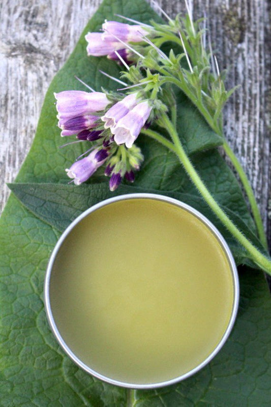 Comfrey Salve