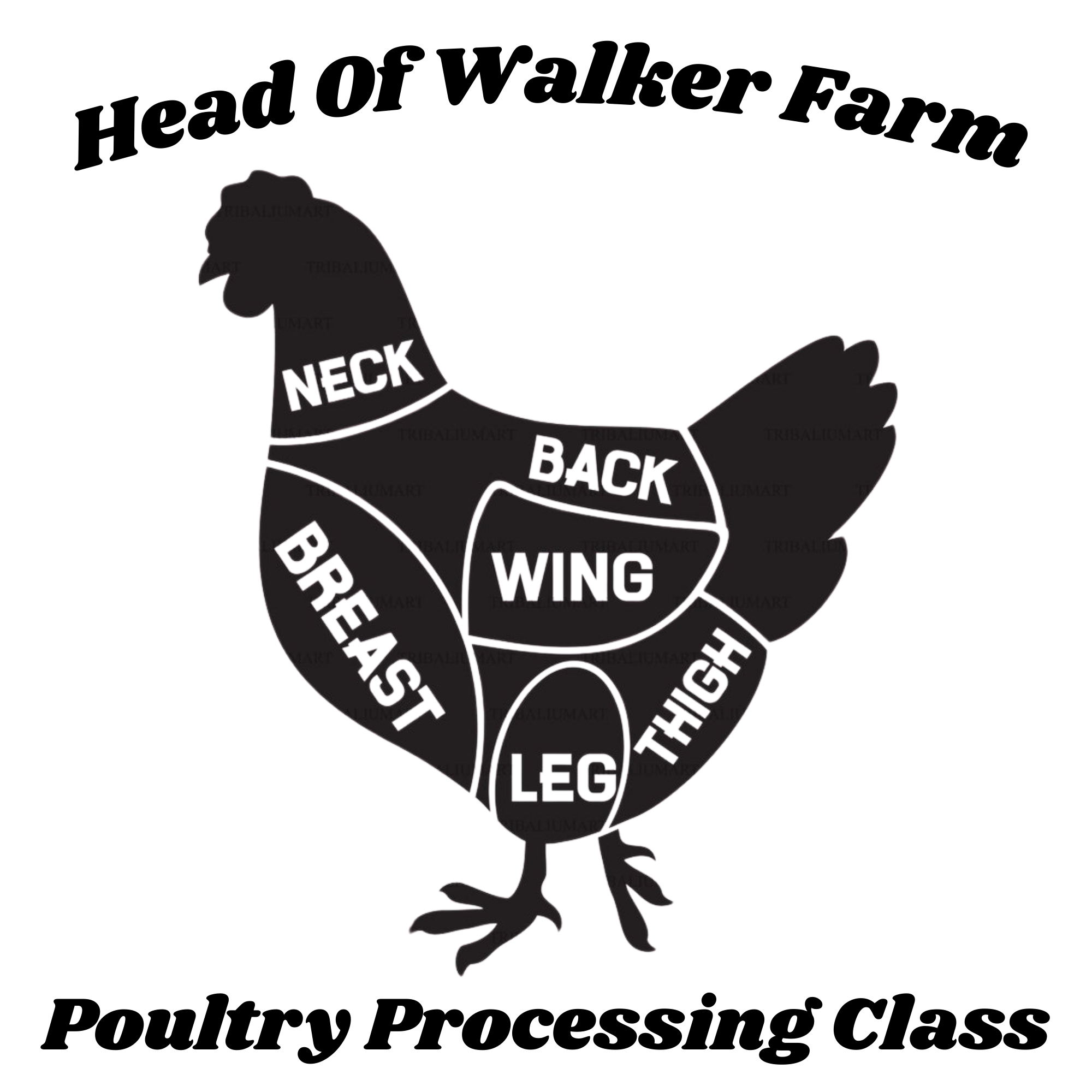 Chicken Processing Class – Head Of Walker Farm LLC