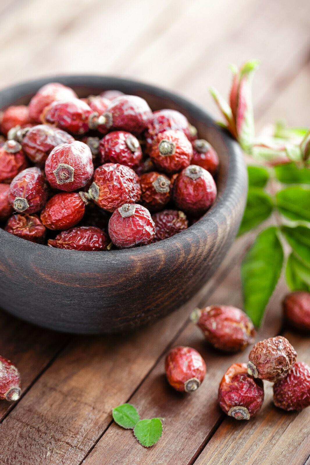 Rose Bud & Rose Hip Tincture